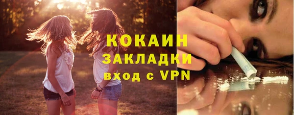 ECSTASY Богданович