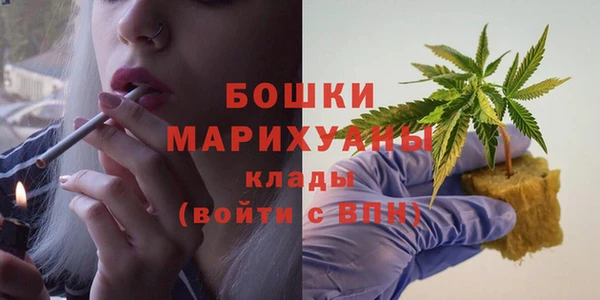 ECSTASY Богданович