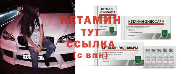 ECSTASY Богданович