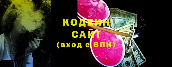 ECSTASY Богданович