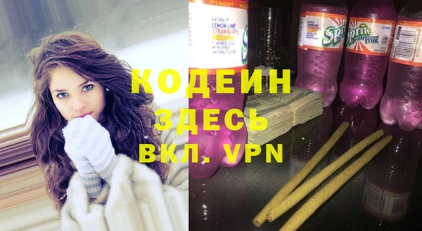 ECSTASY Богданович