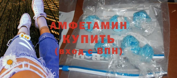 ECSTASY Богданович