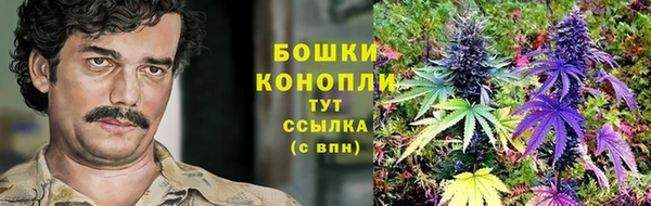 ECSTASY Богданович