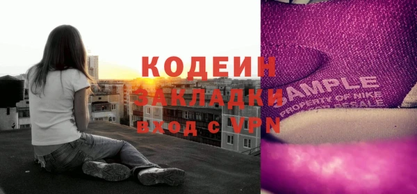 ECSTASY Богданович