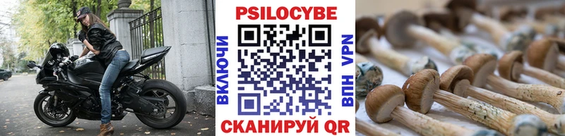 даркнет сайт Кирсанов Галлюциногенные грибы мухоморы
